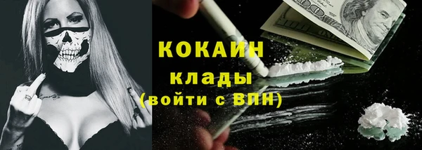 амф Алзамай