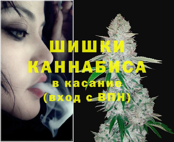 стафф Алексин