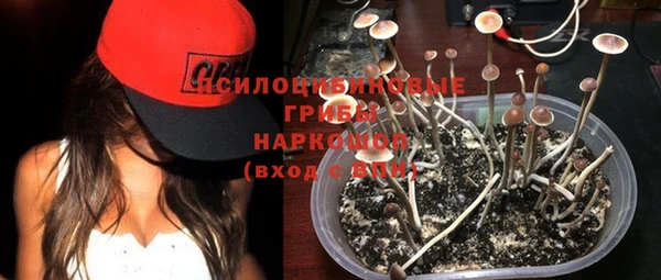 амф Алзамай