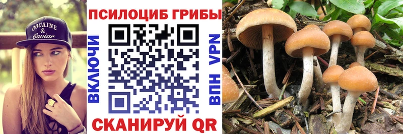Галлюциногенные грибы Magic Shrooms  блэк спрут tor  Набережные Челны 
